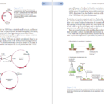 دانلود فایل کتاب PDF Gene Cloning And Dna Analysis Seventh Edition