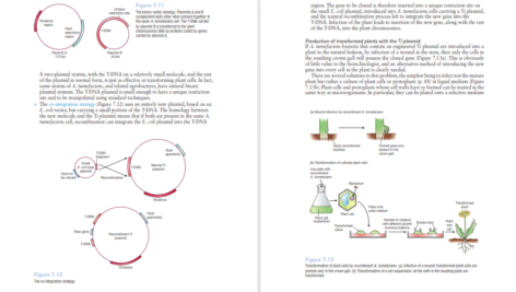 دانلود فایل کتاب PDF Gene Cloning And Dna Analysis Seventh Edition
