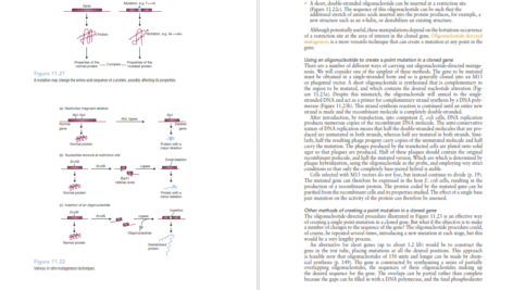 دانلود فایل کتاب PDF Gene Cloning And Dna Analysis Seventh Edition
