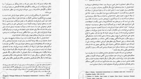 دانلود فایل کتاب منشا آگاهی در فروپاشی ذهن دوساحتی جولین جینز PDF