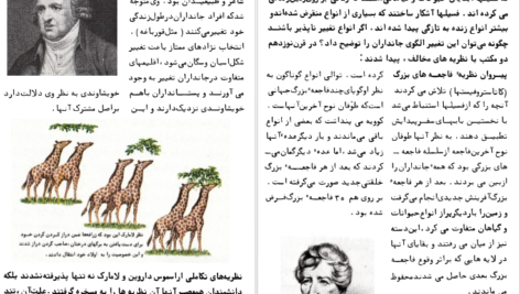 دانلود فایل کتاب تکامل فرانک رودز PDF