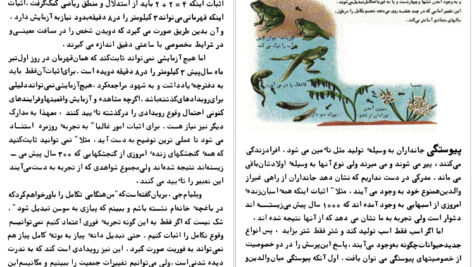 دانلود فایل کتاب تکامل فرانک رودز PDF