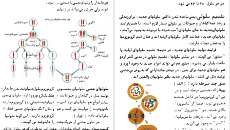 دانلود فایل کتاب تکامل فرانک رودز PDF