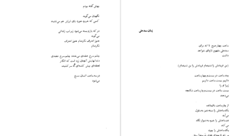 دانلود فایل کتاب ضل الله رضا براهنی PDF