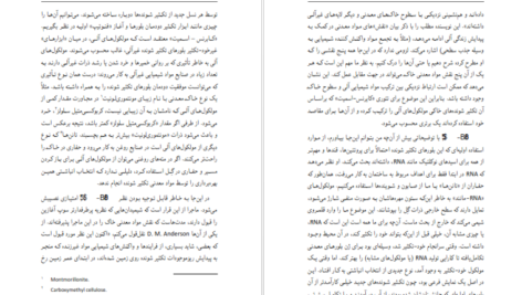 دانلود فایل کتاب ساعت ساز نابینا ریچارد داوکینز PDF