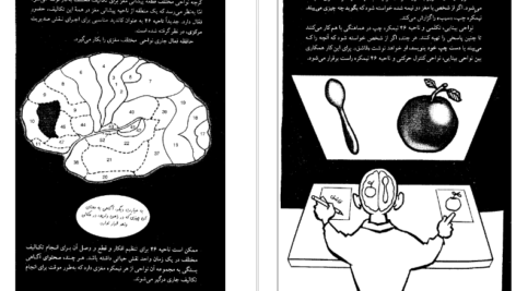 دانلود فایل کتاب مغز و ذهن عبدالرحمن نجل رحیم PDF