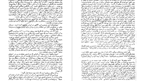 دانلود فایل کتاب تاریخچه تشکیلات دموکراتیک زنان مریم فیروز PDF