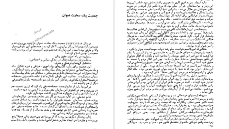 دانلود فایل کتاب تاریخچه تشکیلات دموکراتیک زنان مریم فیروز PDF