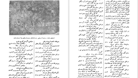دانلود فایل کتاب در فش ایران و شیر خورشید سعید نفیسی PDF