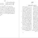 دانلود فایل کتاب دیوان ازرقی هروی سعید نفیسی PDF