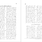 دانلود فایل کتاب دیوان انوری سعید نفیسی PDF