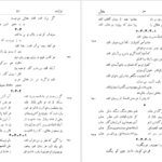 دانلود فایل کتاب دیوان هلالی جغتایی سعید نفیسی PDF