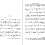 دانلود فایل کتاب هجوم افغان و زوال دولت صفوی جونس هنوی PDF
