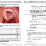 دانلود فایل کتاب بی حسی موضعی در دندانپزشکی انتشارات رویان پژوه PDF