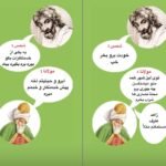 دانلود فایل کتاب حکایت مولانا و شمس محمد حیدرنژاد PDF