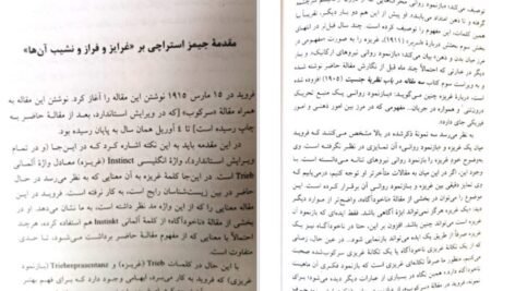 دانلود فایل کتاب کودکی را می زنند زیگموند فروید ترجمه مهدی حبیب زاده PDF